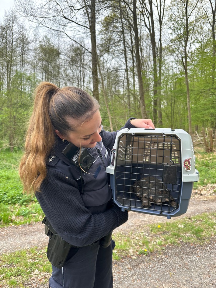 POL-OG: Bühl - Schildkröte in Sicherheit gebracht - Mit guten Nachrichten ins Wochenende