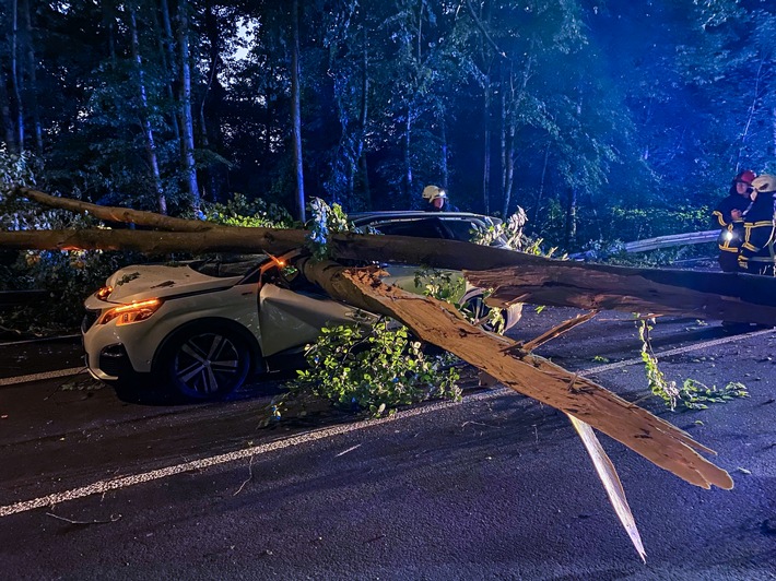 FW-MK: Baum stürzt auf vorbeifahrenden PKW