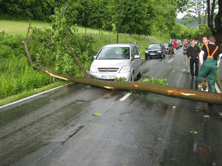 POL-HOL: Auswirkungen des gestrigen Sturms und Gewitterschauers: Baum quer auf Fahrbahn gestürzt - Herausgedrückter Gullydeckel beschädigt vorbeifahrenden PKW -