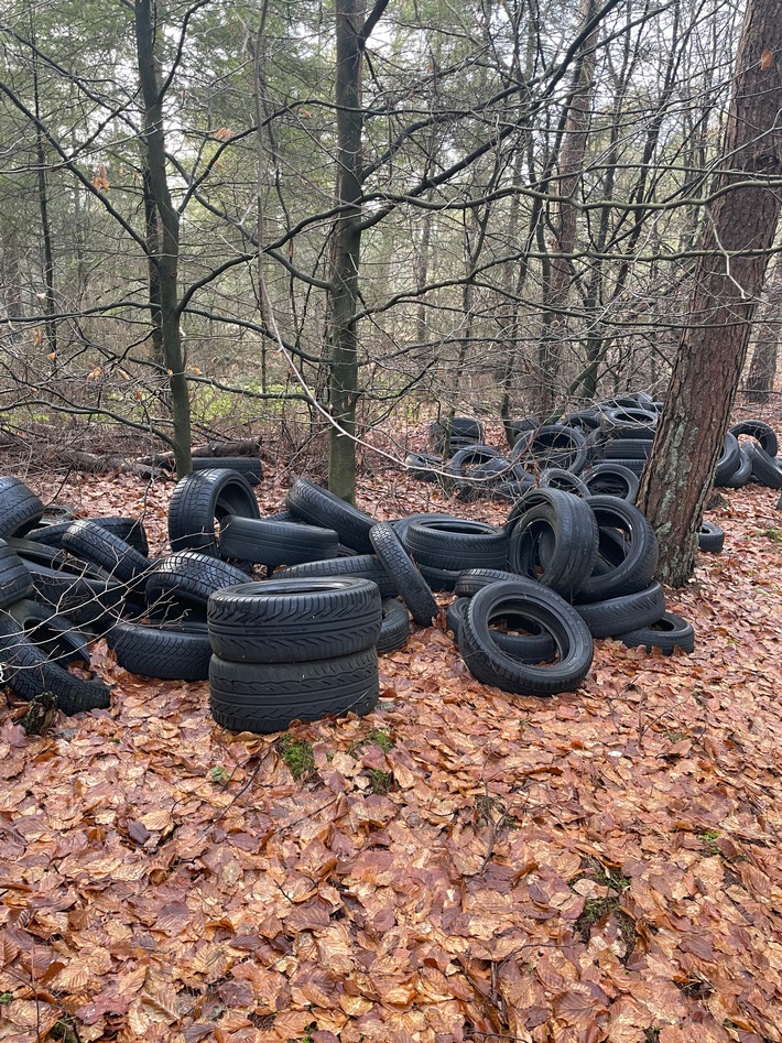 POL-EL: Dersum / Heede - Illegale Reifenentsorgung in Waldgebiet - Polizei bittet um Hinweise
