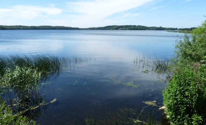 Gewässer, Seen und Feuchtgebiete im Klimastress: GNF informiert in Onlineseminar