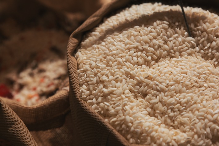 Lidl Schweiz fördert die Nachhaltigkeit im Reisanbau / "Sustainable Rice Platform"