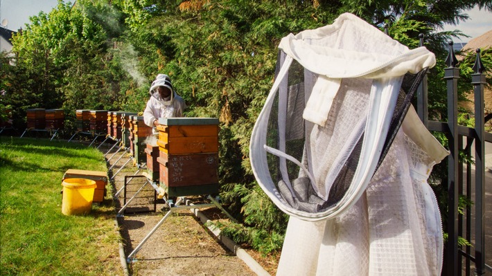 Hotels for Bees - Nachhaltiges Projekt für Bienenschutz und Umwelt