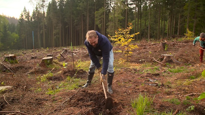 "Jeder kann einen Beitrag leisten, ob im Kleinen oder im Großen!" Steven Gätjen in "Operation Wald - So retten wir unseren Planeten" am Donnerstag, 18. März 2021, um 22:55 Uhr