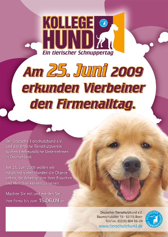 Bundesweiter Aktionstag &quot;Kollege Hund&quot;: Tierfreundliche Unternehmen können sich noch anmelden (mit Bild)
