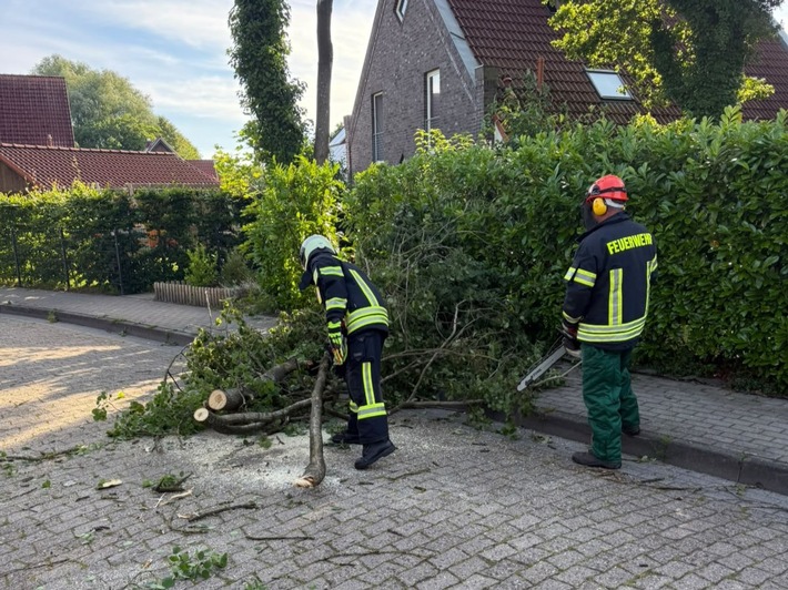 FW-AUR: Baumkrone droht niederzustürzen