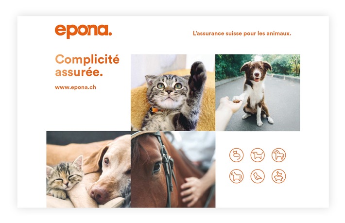 Plus connectée, plus intuitive, plus proche / Epona, la seule assurance indépendante pour animaux de Suisse, se renforce afin d