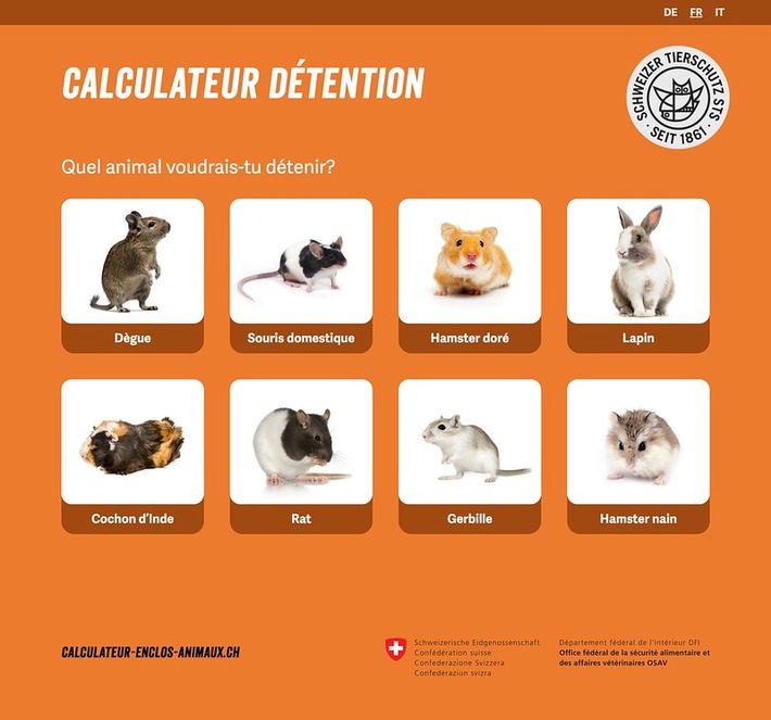 Près de 200 000 rongeurs et lapins sont détenus en Suisse dans des conditions cruelles - la Protection Suisse des Animaux PSA lance son nouveau calculateur d&#039;enclos pour animaux