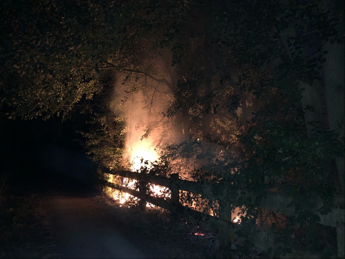 POL-DN: Jugendliche verursachen Uferbrand am Echtzer See