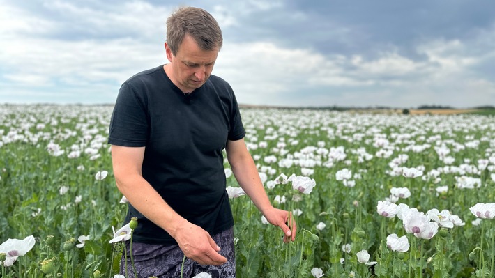 MDR-Reportage für ARTE gewinnt Deutsch-tschechischen Journalistenpreis