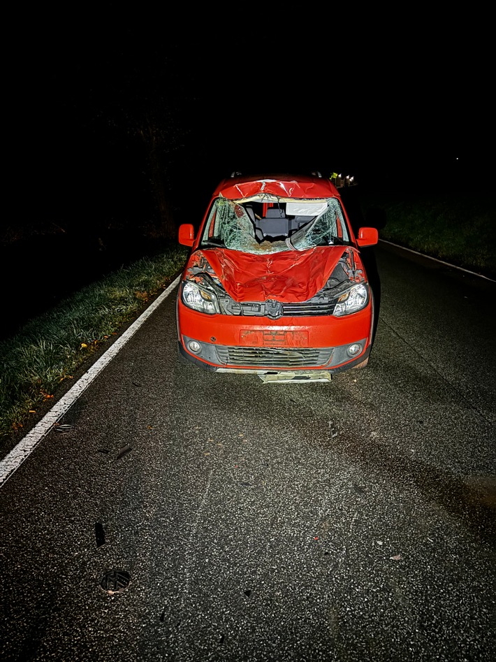 POL-PDPS: Verkehrsunfall mit tödlich verletztem Pferd