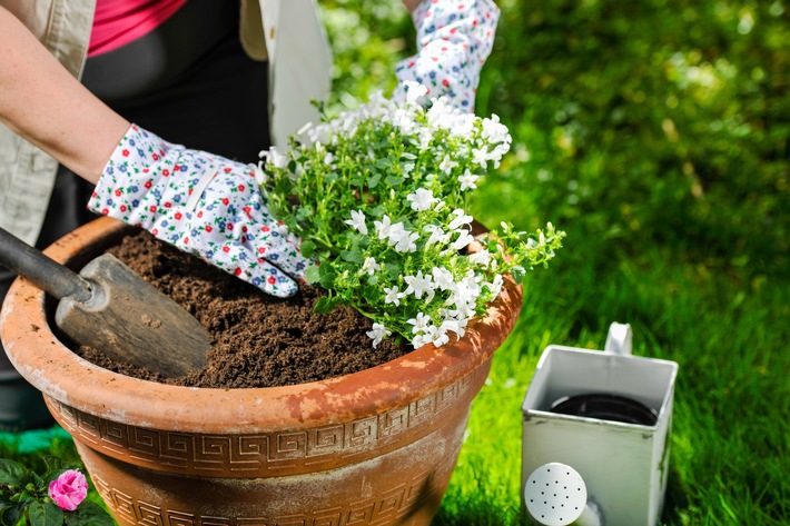 Wussten sie schon …, wie Klimaschutz im Blumentopf geht?