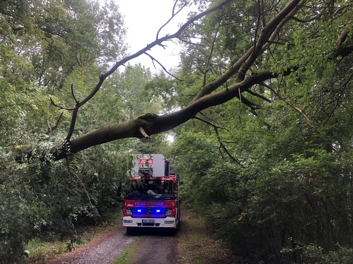 FW-EN: Baum über Straße