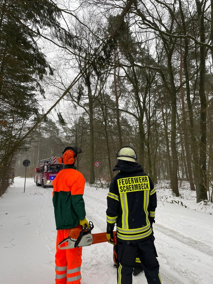 FW-Schermbeck: Baum drohte auf Fahrbahn zu fallen
