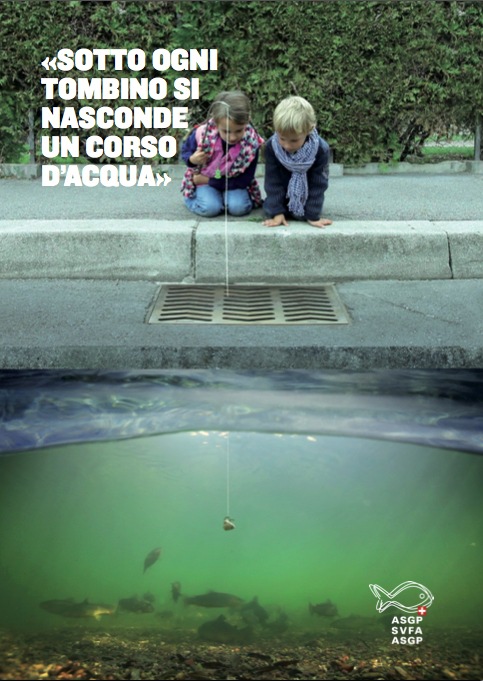 Sotto ogni tombino si nasconde un corso d&#039;acqua / Presto partirà una campagna di sensibilizzazione sui nostri schermi e su www.aquava.ch