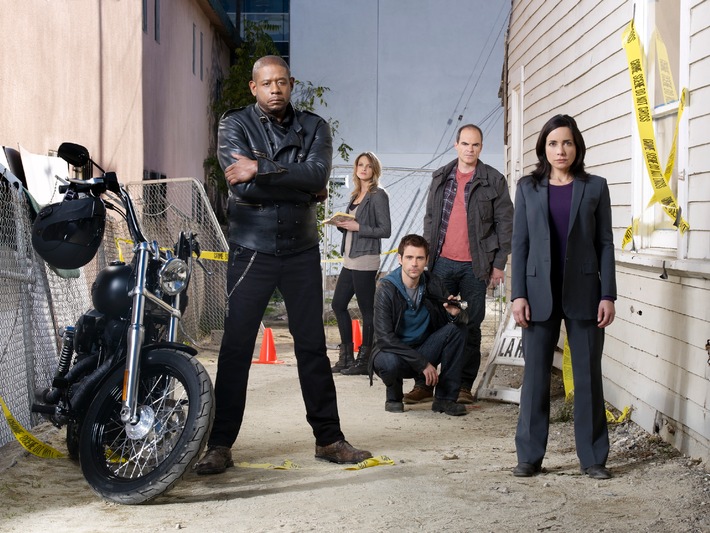 Das Brandneue Serien Spin Off Criminal Minds Team Red Neue Folgen Von Navy Cis