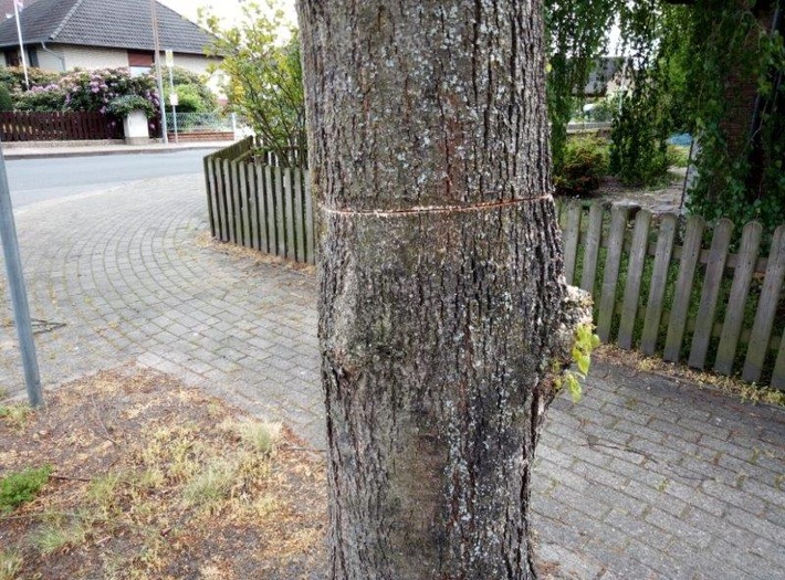 POL-CE: Baum angesägt und schwer beschädigt