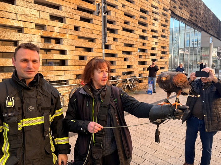 FW-W: Bussard mit Arbeitsunfall