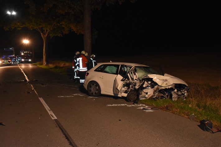 POL-HI: Schwerer Wildunfall - Eine Verletzte und ca. 25.000 Euro Schaden