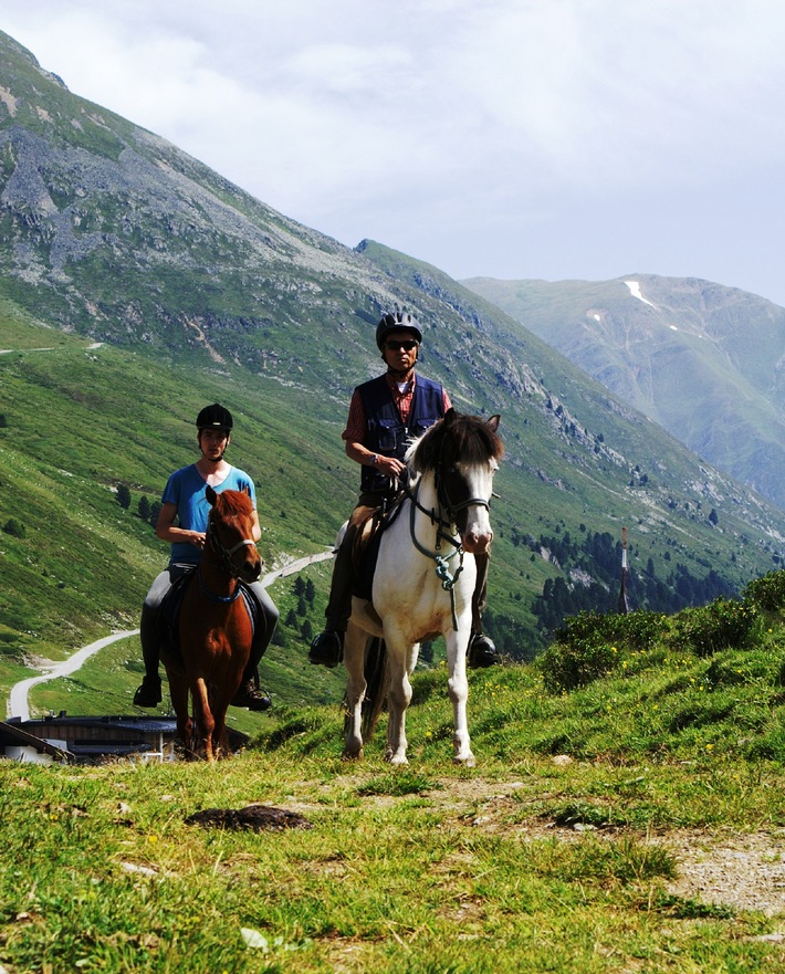 Erfolgreiches Höhentraining für Pferde und geführte Trekkingtouren - 
Pferde stehen im Kühtai hoch im Kurs - BILD