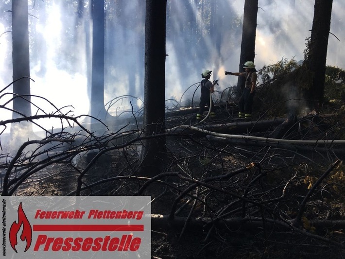 FW-PL: Segelflugzeug meldet beginnenden Waldbrand. Rund 400 Quadratmeter Waldfläche gerieten in Brand