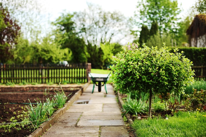 Mit BÃ¤umen im Garten dem Klimawandel trotzen