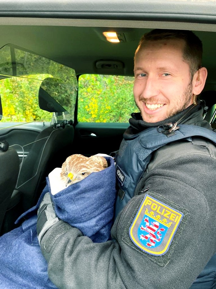 POL-HR: Gudensberg-Dorla: Verletzter Greifvogel - Polizei übergibt Mäusebussard an Auffangstation
