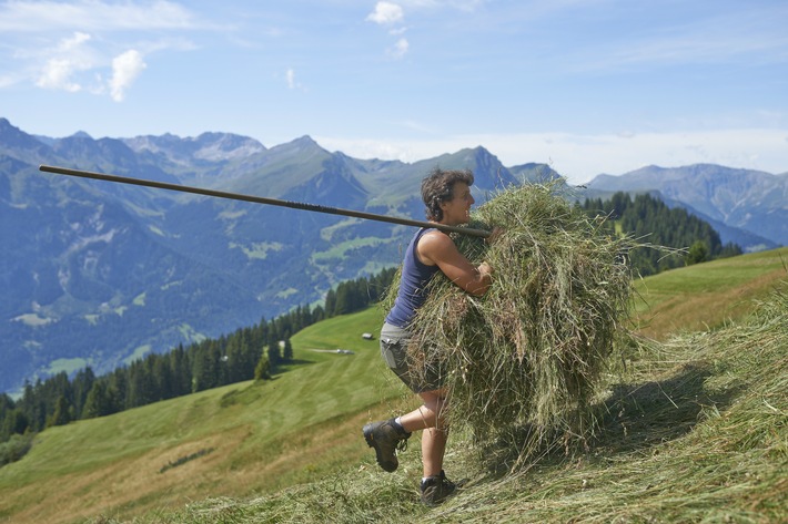 Caritas propose des bénévoles à des familles de paysans de montagne en détresse / Les paysans de montagne suisses en détresse ont besoin de 800 bénévoles