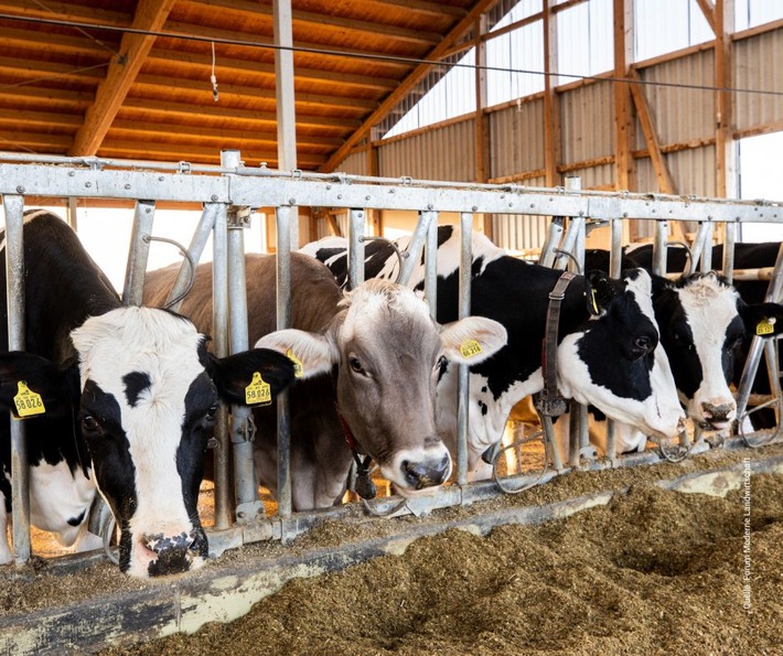 Tierwohl bleibt zentral: Mehrheit der Deutschen achtet auf Haltung und Herkunft