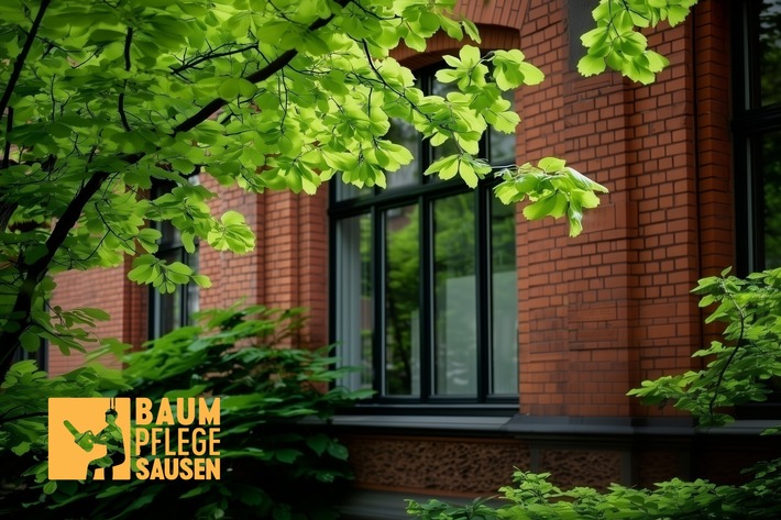 Baumpflege Sausen: Gezielte Pflegemaßnahmen für eine kontrollierte Baumentwicklung