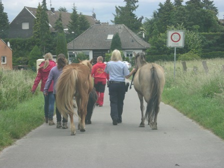 POL-REK: Pferd gestoppt - Kerpen