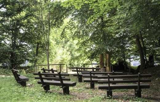 20 Jahre FriedWald Michelstadt im Odenwald