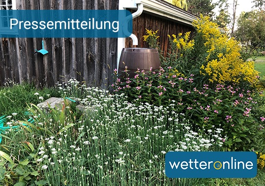 Garten und Klimawandel: Anpassung an die Veränderungen - Regenwasser richtig nutzen