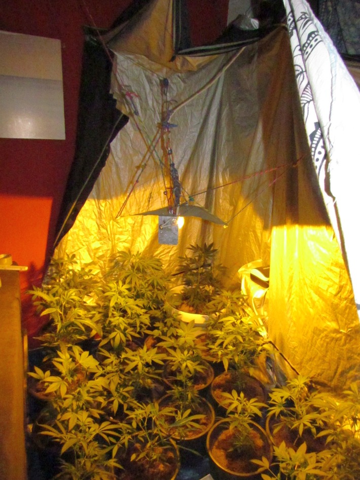 POL-LDK: Polizei entdeckt Cannabis Indoor-Plantage in Wetzlar-Hermannstein