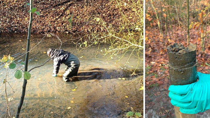 Hitzestress im Flussbett: Studie untersucht Fluss-Mikrobiom