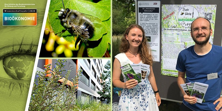 Artenschutz vor der Haustür: Initiative "Bunte Wiese Stuttgart" wirbt für mehr Unordnung