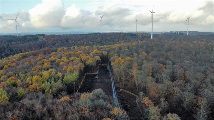Windpark Blasbach - Koehler Renewable Energy setzt umfangreiche Artenschutz-Maßnahmen um