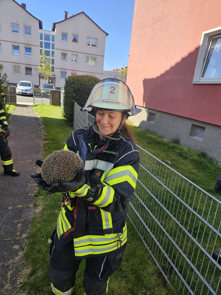 FW Celle: Igel aus misslicher Lage befreit