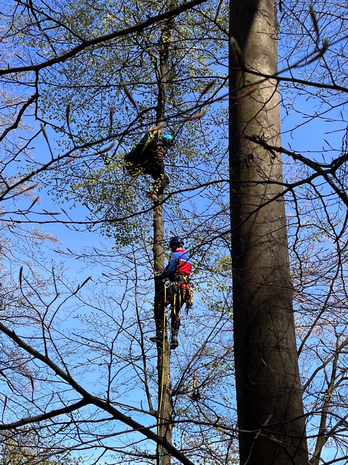 FF Olsberg: Gleitschirmflieger in Olsberg Elpe abgestürzt