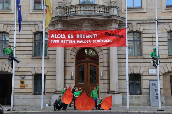 EUDR zügig umsetzen: Keine Einfallschneise für den Handel mit Holz aus Entwaldung und Waldschädigung!