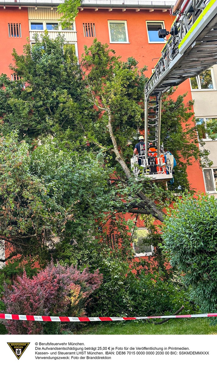 FW-M: Baum stürzt auf Mehrfamilienhaus (Untergiesing-Harlaching)