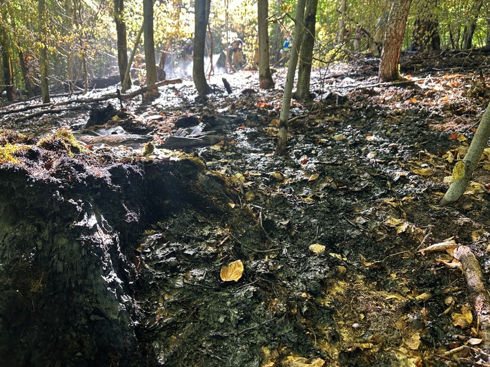 FW Stuttgart: Waldbrand auf 6.500 Quadratmetern in Stuttgart-Rohracker