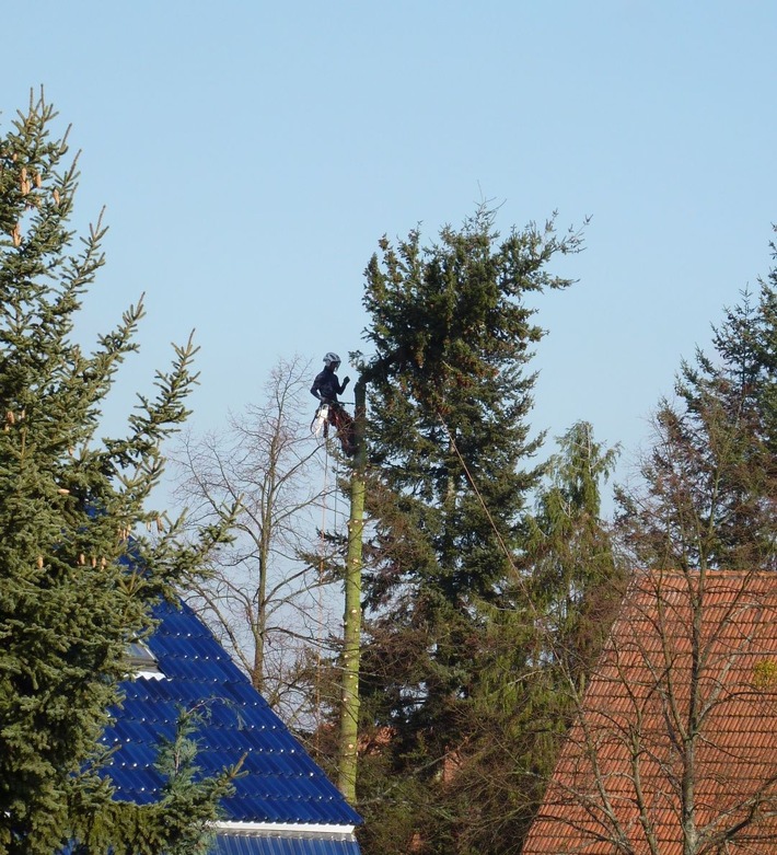 Nach dem Unwetter ist vor den Baumarbeiten