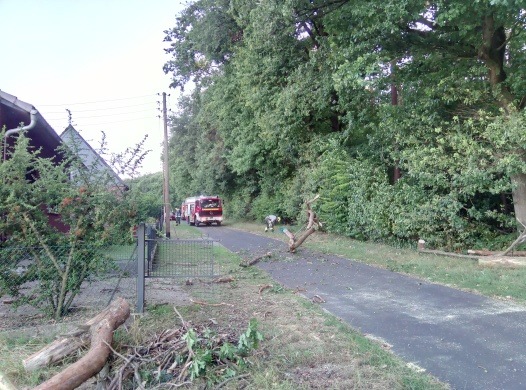 FW Hünxe: Baum zerreißt Stromleitung