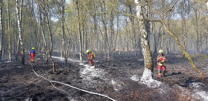 FW-PI: Tornesch: 1. Nachmeldung - Erneut Feuer im Ahrenloher Moor