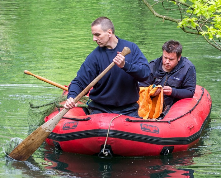 FW-MH: Feuerwehr Mülheim rettet Eisvogel. #fwmh