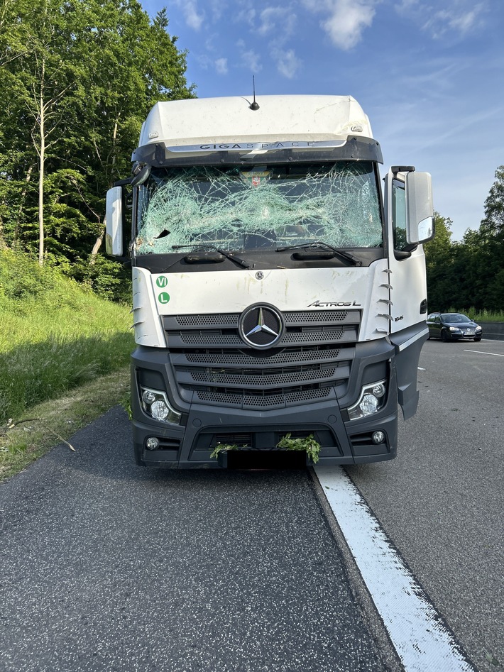 POL-OH: Umgefallener Baum auf Autobahn A7 zertrümmert Windschutzscheibe von LKW