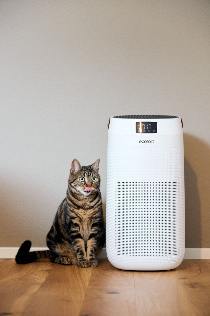 Wenn die Wohnung zur Gefahr für die Katze wird