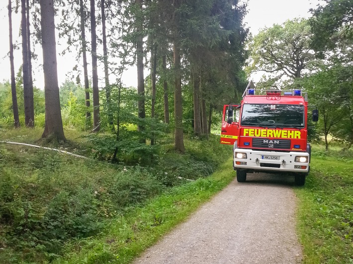 FW Menden: Bodenfeuer im Wald