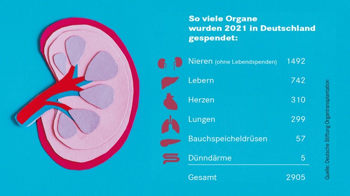 Organspende: So entscheiden Sie selbst / Ein Online-Register soll das Ja oder Nein zur Spende von Organen wie Nieren, Lebern oder Herzen erleichtern